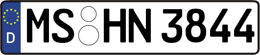 MS-HN3844