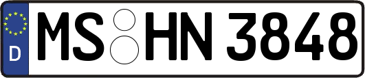 MS-HN3848