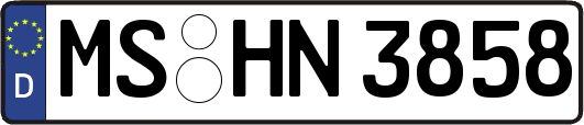 MS-HN3858