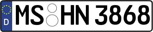 MS-HN3868