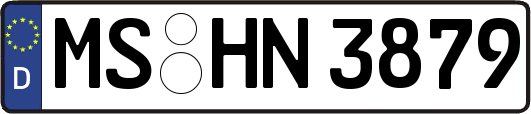 MS-HN3879