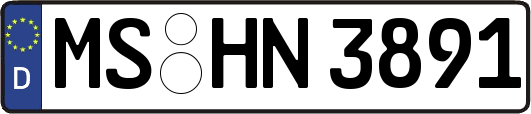 MS-HN3891