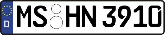 MS-HN3910