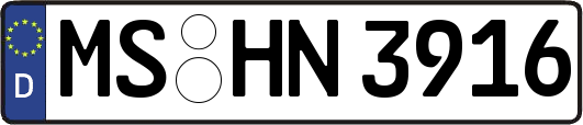 MS-HN3916