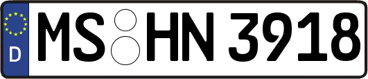 MS-HN3918