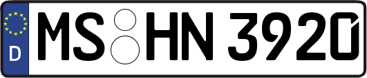 MS-HN3920