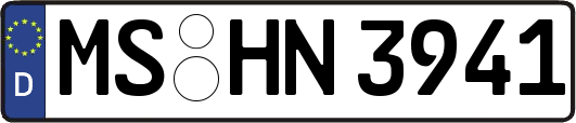 MS-HN3941