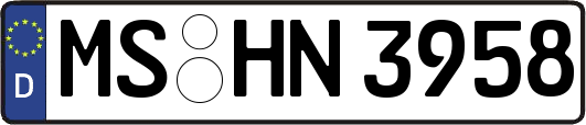 MS-HN3958