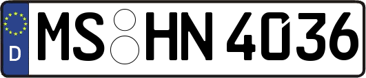 MS-HN4036