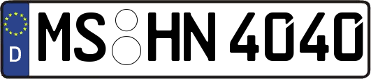 MS-HN4040