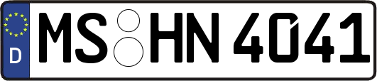 MS-HN4041