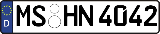 MS-HN4042