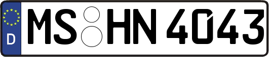 MS-HN4043