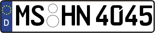 MS-HN4045