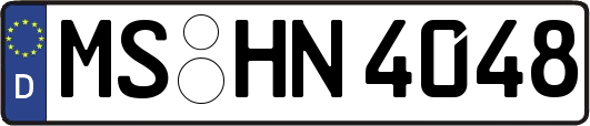 MS-HN4048