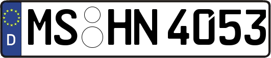 MS-HN4053
