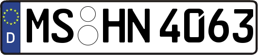 MS-HN4063
