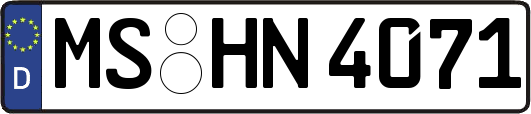 MS-HN4071