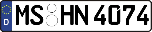 MS-HN4074
