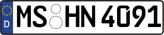 MS-HN4091