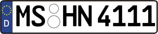 MS-HN4111