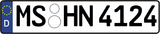 MS-HN4124