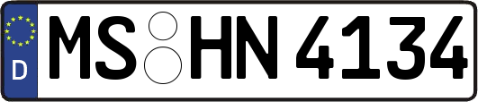 MS-HN4134