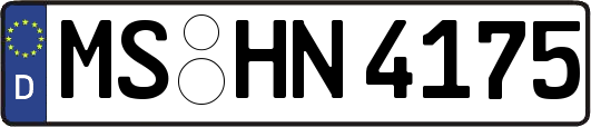 MS-HN4175