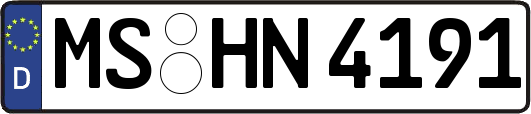 MS-HN4191