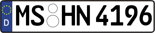 MS-HN4196