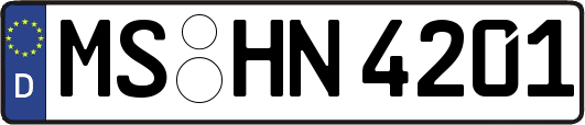 MS-HN4201