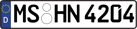 MS-HN4204