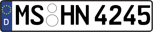 MS-HN4245