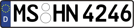 MS-HN4246