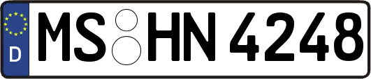 MS-HN4248