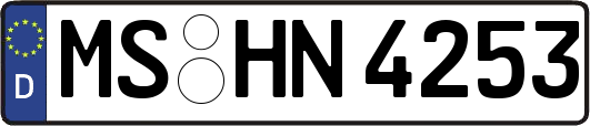 MS-HN4253