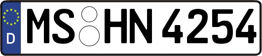 MS-HN4254