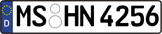 MS-HN4256