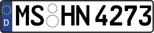 MS-HN4273
