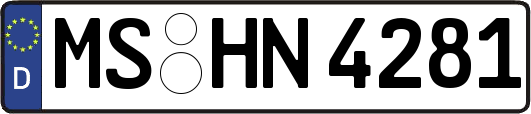 MS-HN4281