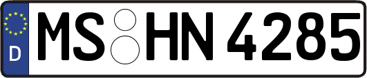 MS-HN4285
