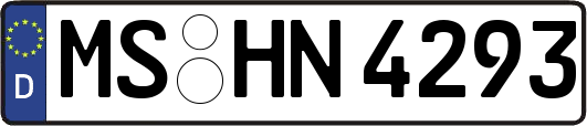 MS-HN4293