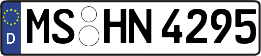MS-HN4295