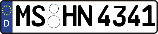 MS-HN4341