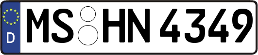 MS-HN4349