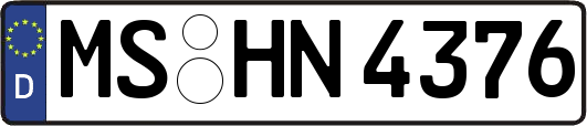 MS-HN4376