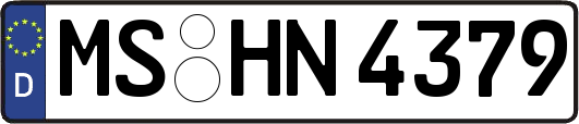 MS-HN4379