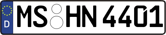 MS-HN4401