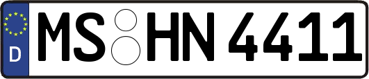 MS-HN4411