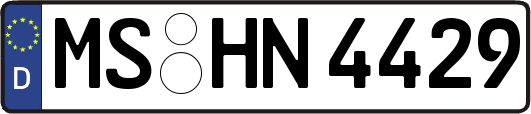 MS-HN4429